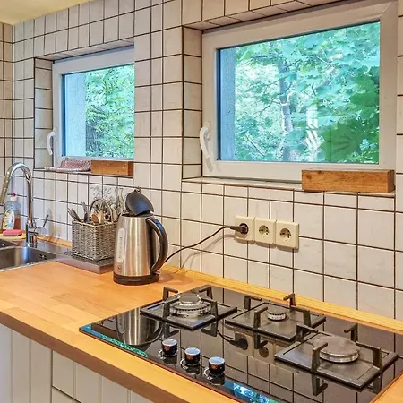 Gorgeous In With Kitchen Tharandt